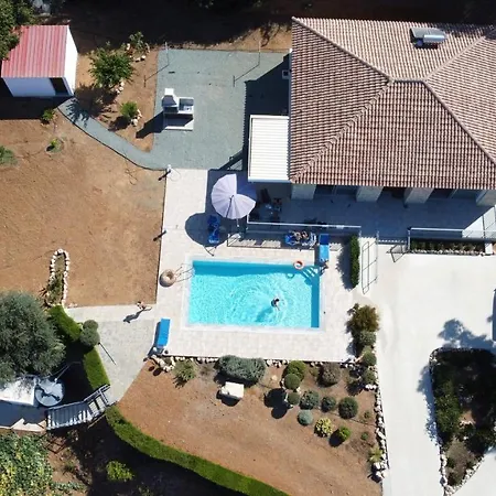 Idol Exceptional Pomos