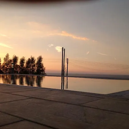 Idol Exceptional Pomos