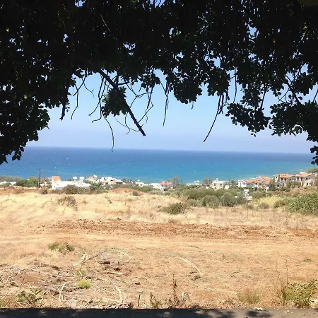 Idol Exceptional Pomos