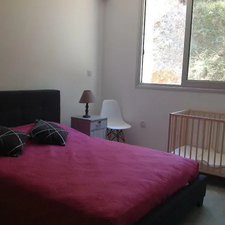 Idol Exceptional * Pomos