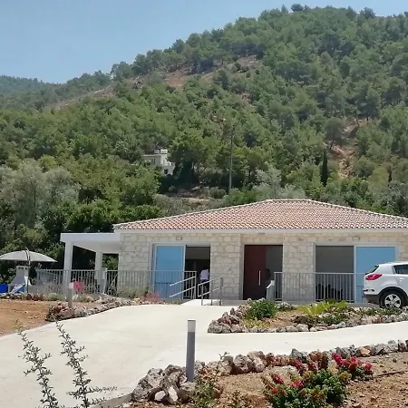 Idol Exceptional * Πωμός