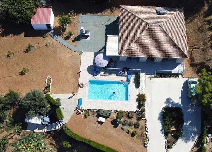 Idol Exceptional Pomos