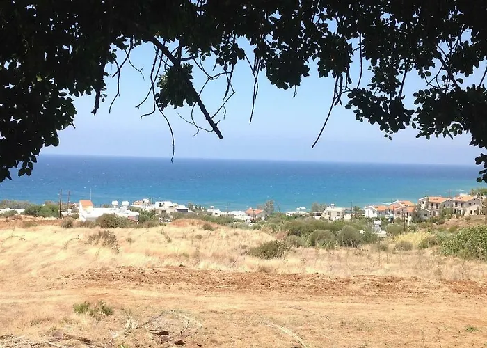 Idol Exceptional Pomos