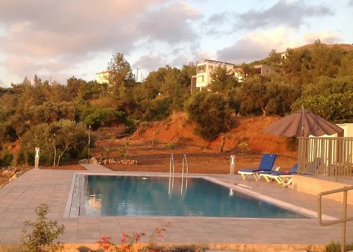 Idol Exceptional * Pomos