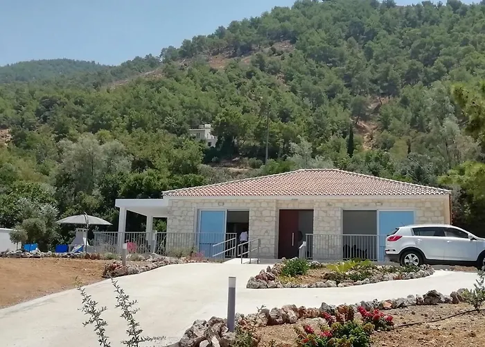 Idol Exceptional * Pomos