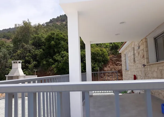 Idol Exceptional * Pomos